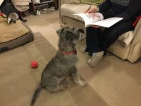IMG_1512.jpeg