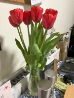 IMG_1564.jpeg IMG_1564.jpeg