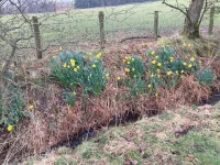 IMG_0321 jpeg.jpeg