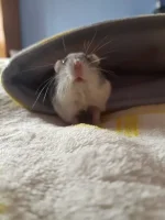 20240318_104724 (1).webp 20240318_104724 (1).webp