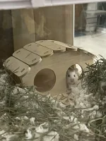 IMG_8144.jpeg IMG_8144.jpeg