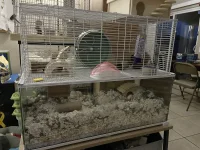 IMG_8158.jpeg IMG_8158.jpeg