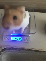 IMG_9756.jpeg