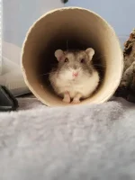 20240401_111628.webp 20240401_111628.webp