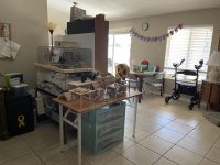 IMG_8257.jpeg