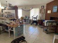 IMG_8262.jpeg