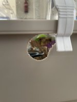 IMG_0050.jpeg