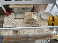 IMG_8286.jpeg