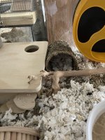 IMG_8298.jpeg
