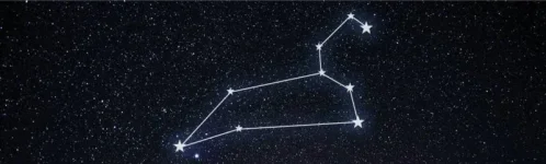 leo constellation.webp