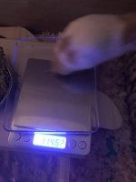 IMG_9799.jpeg
