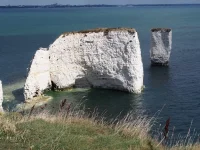 IMG_1359.jpeg