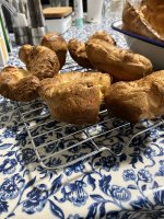 IMG_1770.jpeg