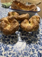 IMG_1772.jpeg