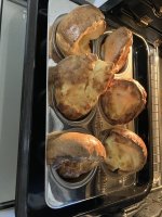 IMG_1778.jpeg