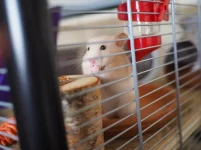 P4231421 resized.webp