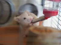 P4231462 resized.webp