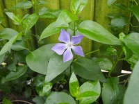 P1010201.webp