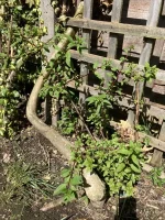 IMG_0573.jpeg