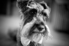 IMG_6810.jpeg