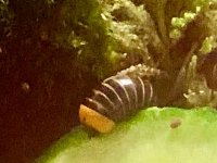 IMG_3382.jpeg