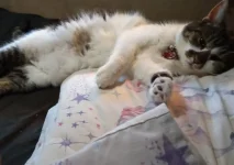 IMG_20200407_193917~2.webp IMG_20200407_193917~2.webp