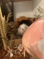 IMG_9080.jpeg