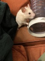 IMG_1816.jpeg