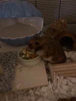 Tino 19.5.2024 2.jpg