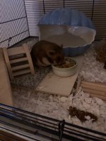 Tino 19.5.2024 3.jpg