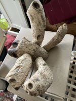 IMG_1830.jpeg