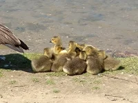 20240520_112104.webp