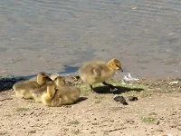 20240520_111945.webp