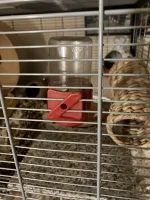 IMG_1872.jpeg