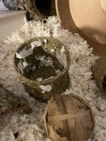 IMG_1903 jpeg.jpeg