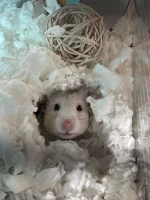 d6185b01-e05e-4ccc-8180-1ec89b1b2e83.jpg d6185b01-e05e-4ccc-8180-1ec89b1b2e83.jpg