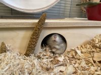 IMG_4517.jpeg