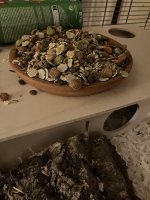 IMG_1974.jpeg