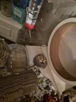 20240707_222047.webp