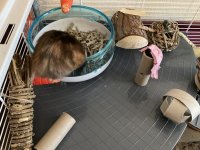 IMG_7474.jpeg