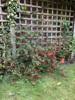 IMG_0621.jpeg