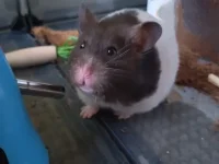 20240624_192700~2.webp 20240624_192700~2.webp