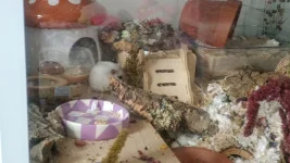 photo_2024-07-28_16-37-40 (3).webp