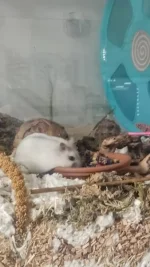 photo_2024-07-28_16-37-40 (2).webp