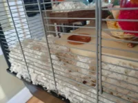 DSC_1811.JPG DSC_1811.JPG