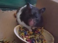 20240729_202620.webp 20240729_202620.webp