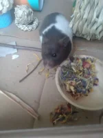 DSC_1802.webp DSC_1802.webp