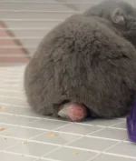 IMG_5767.webp IMG_5767.webp