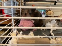 IMG_7662.jpeg