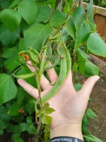 IMG_20240810_130639_373.webp